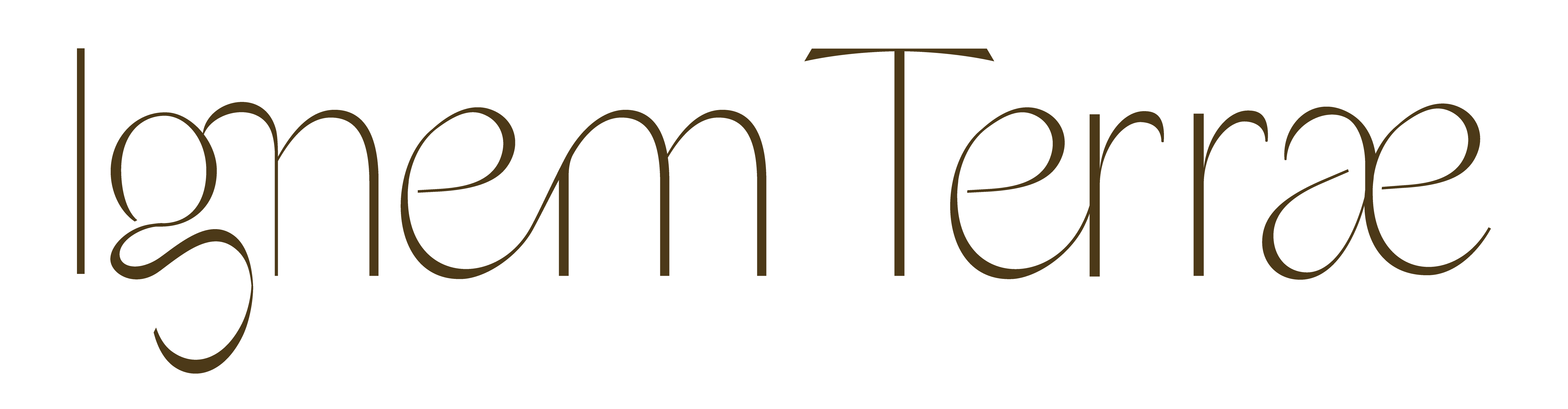 Ignem Terrae Ceramics