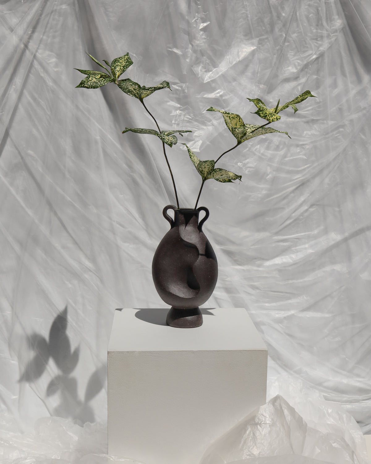 Amore Vessel