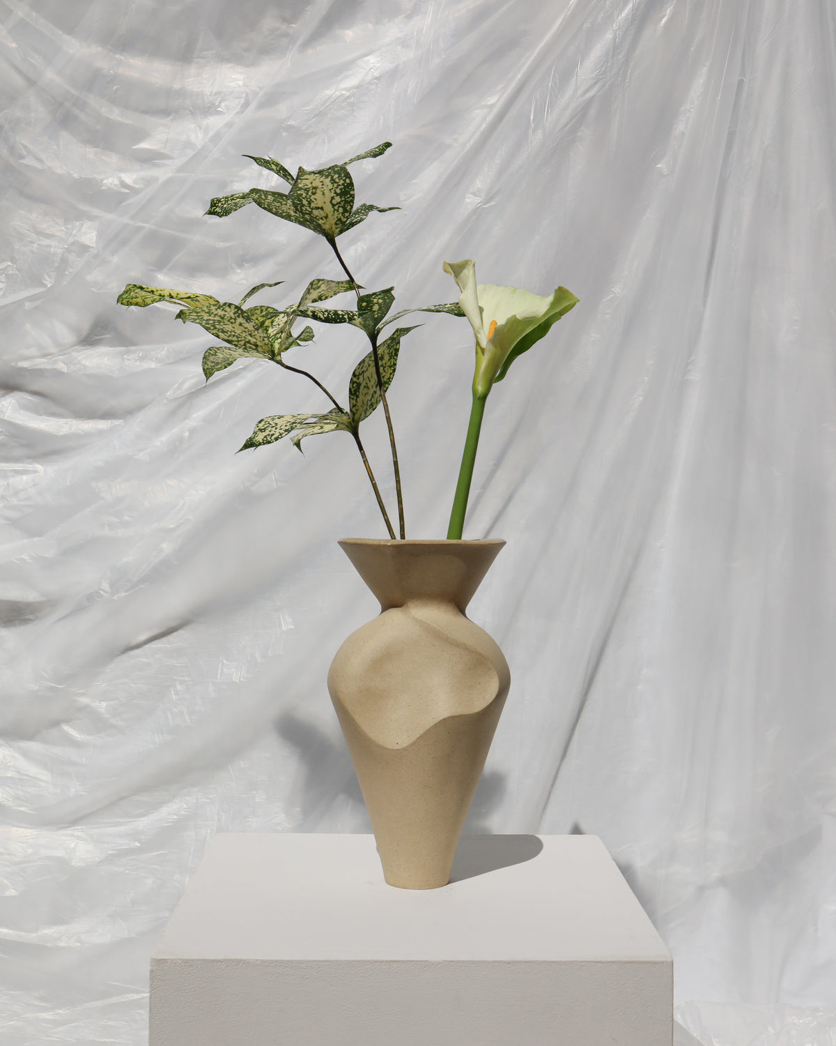 Ferrocia Vessel